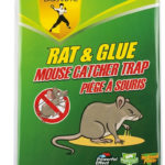 Rat & Glue
